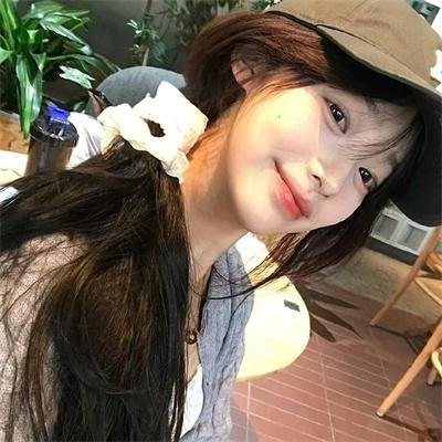 萌犬流浪记